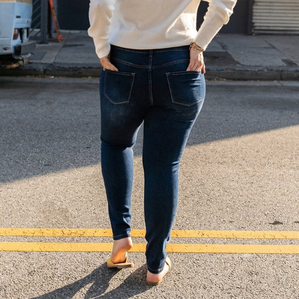 Vervet by Flying Monkey plus size skinny jeans